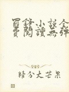 罗铮小说全文免费阅读无弹窗