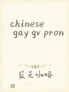 chinese gay gv pron封面