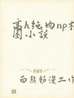 高h纯肉np校园小说