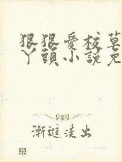 狠狠爱校草宠坏丫头小说免费阅读