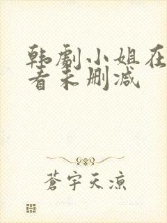 韩剧小姐在线观看未删减