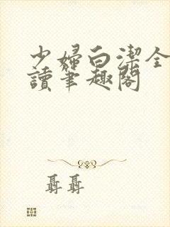 少妇白洁全文阅读笔趣阁封面