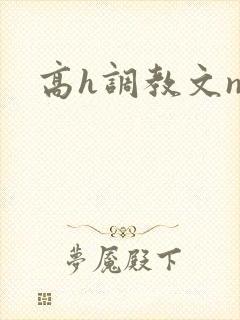 高h调教文np封面