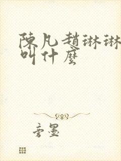 陈凡赵琳琳小说叫什么封面