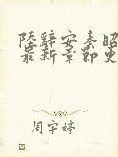 陆辞安秦昭小说最新章节更新封面