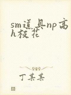 sm道具np高h校花
