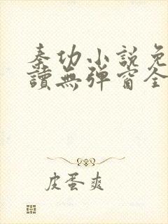 秦功小说免费阅读无弹窗全文封面