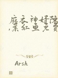 麻衣神婿陈黄皮,叶红鱼免费阅读全部