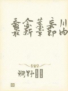 乔念叶妄川小说最新章节内容封面