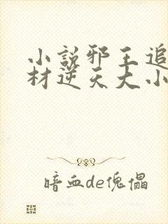 小说邪王追妻废材逆天大小姐