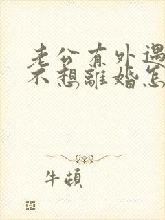 老公有外遇但我不想离婚怎么办