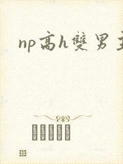np高h双男主封面