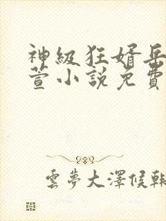 神级狂婿岳风柳萱小说免费阅读全文封面
