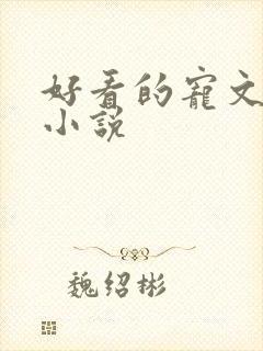 好看的宠文甜文小说