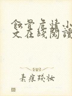 蚀骨危情小说全文在线阅读