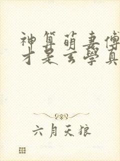 神算萌妻傅太太才是玄学真大佬易小升