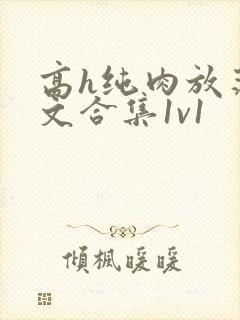 高h纯肉放荡h文合集1v1