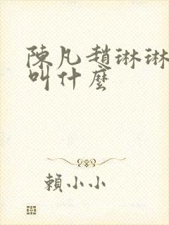 陈凡赵琳琳小说叫什么