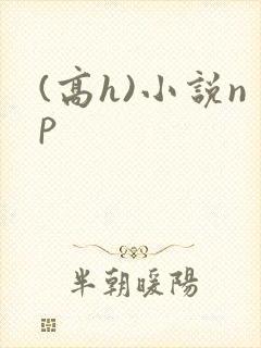 (高h)小说np封面