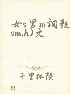 女s男m调教(sm,h)文