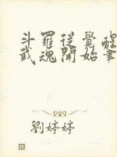 斗罗从觉醒朱雀武魂开始笔趣阁