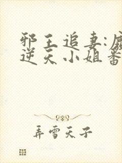 邪王追妻:废材逆天小姐番外篇