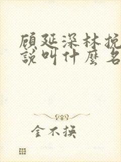 顾延深林挽音小说叫什么名字