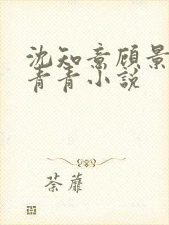 沈知意顾景淮柳青青小说