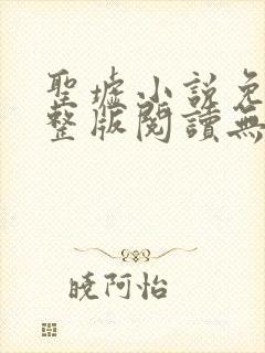 圣墟小说免费完整版阅读无弹窗封面