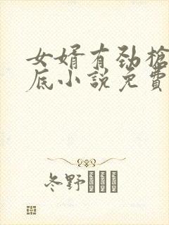 女婿有劲枪枪到底小说免费看
