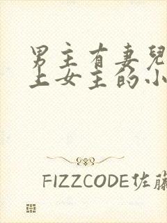 男主有妻儿却爱上女主的小说封面