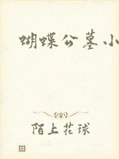 蝴蝶公墓小说
