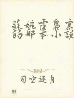 苏婉霍枭寒模仿的哪本小说封面