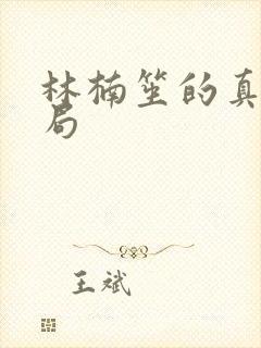 林楠笙的真实结局