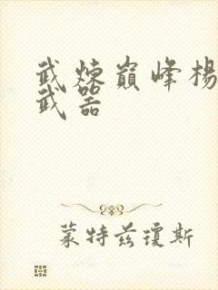 武炼巅峰杨开的武器