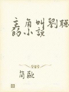 主角叫刘聪赵兰的小说