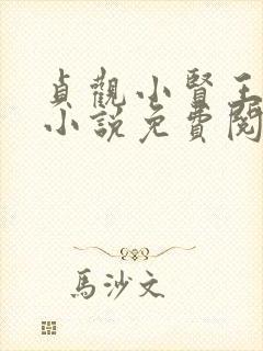 贞观小贤王李慎小说免费阅读