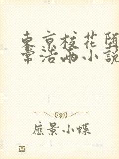 东京校花堕落日常浩两小说阅读