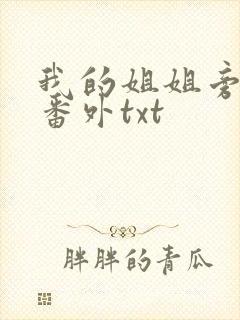 我的姐姐旁观者番外txt