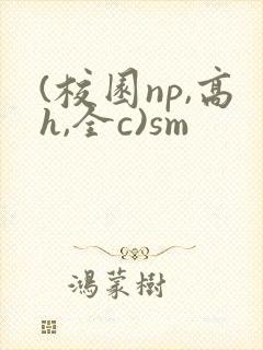 (校园np,高h,全c)sm封面