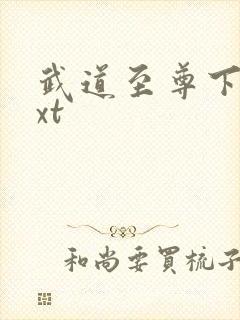 武道至尊下载txt