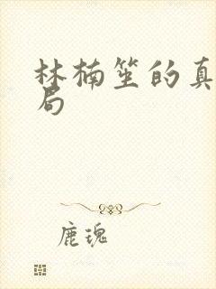 林楠笙的真实结局