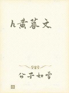 h黄蓉文
