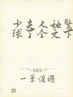 少夫人她惊艳全球了全文下载封面