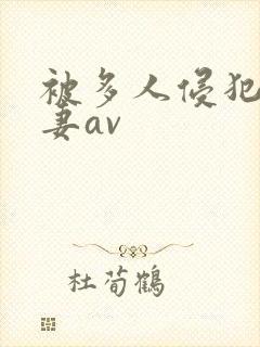被多人侵犯的人妻av