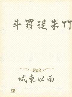 斗罗从朱竹清
