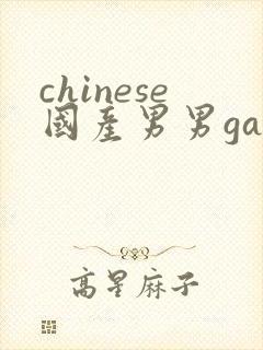 chinese国产男男gaygay网站