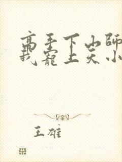 高手下山师姐将我宠上天小说完整版大结局封面