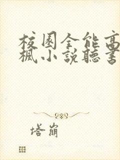 校园全能高手季枫小说听书