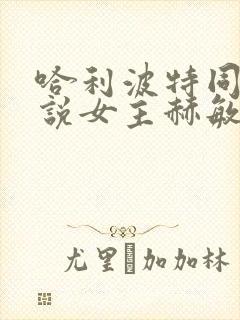 哈利波特同人小说女主赫敏